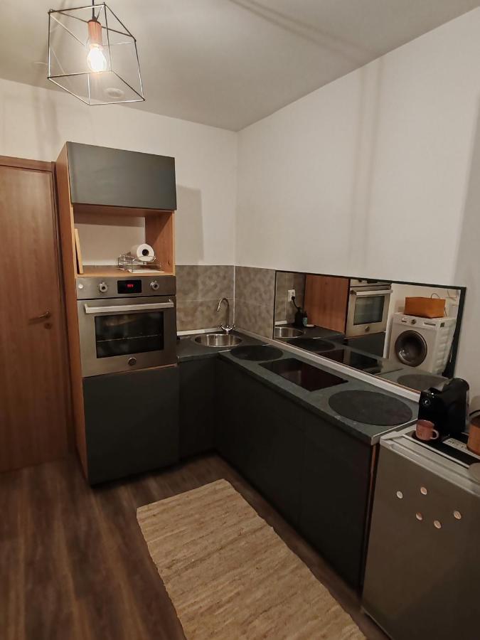 Studio Grigio Apartman Nagyszeben Kültér fotó